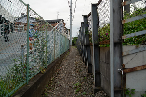 alley between fences