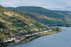 Das Rheingau: Lorchhausen und Lorch am Rhein
