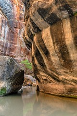 *Zion National Park @ Narrows Hike*