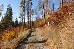 Autumn in Jeseniky