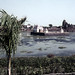 IN Bhubaneswar Bindu sagar - 1965 (W65-A39-31)