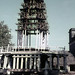 IN Bhubaneswar Lingaraja Temple building a cart for a Hindu festival - 1965 (W65-A39-34)