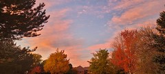October 26, 2021 - Beautiful pastel-colored sunrise. (David Canfield)