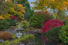 Japanese Garden 1754 B (Explored)