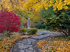 Japanese Garden Path 1839 A