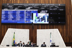 Sessão Plenária 