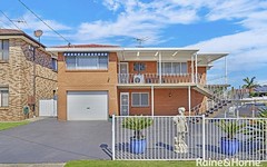 338 Canley Vale Road, Canley Heights NSW