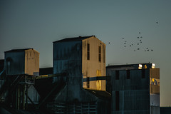 Silo city • <a style="font-size:0.8em;" href="http://www.flickr.com/photos/161151931@N05/51679253181/" target="_blank">View on Flickr</a>