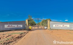 Lot 1 Pooncarie Road, Wentworth NSW