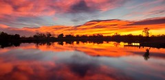 November 7, 2021 - An absolutely stunning sunrise. (ThorntonWeather.com)