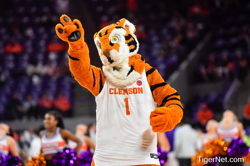 Clemson Basketball Photo of The Tiger and bryant