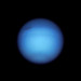 Neptune 2021