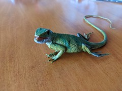 November 20: Toy Lizard - Number 324