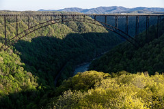 A Perfect Day of Nature Begins With That First Step of Wonder (New River Gorge National Park & Preserve)