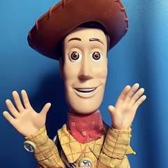 Woody says…..jazz hands! (328/365)