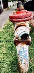 329/365 Vintage fire hydrant which has seen better days