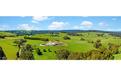 245 Phillips Track, Beech Forest Vic