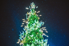 Kaunas Christmas Tree 2021 #331/365