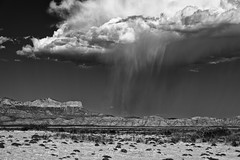 I Saw the Rains Down in...Texas!  (Black & White, Guadalupe Mountains National Park)