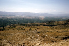LB Canaan land of milk and honey-Mt Hermon in background (W63-K56-30)