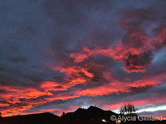 November 30, 2021 - An absolutely stunning sunset. (Alycia Gilliland)