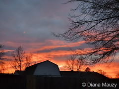 November 30, 2021 - An absolutely stunning sunset. (Diana Mauzy)