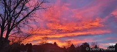 November 30, 2021 - An absolutely stunning sunset. (David Canfield)