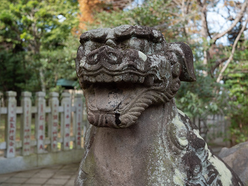 江島神社奥津宮の狛犬さん 阿