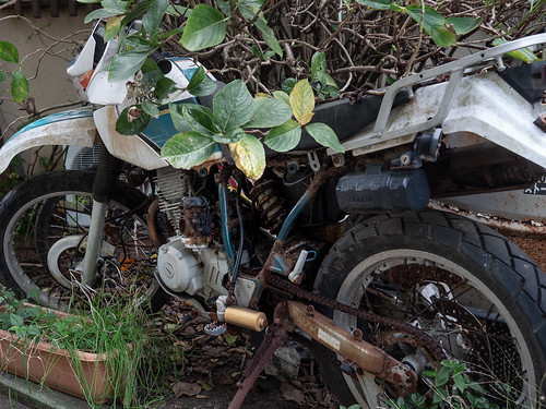abandoned motorcycle