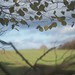 Unexpected soft focus effect due to 2 adapters and a fixed focal length - Schleswig-Holstein - Germany - November 21, 2021