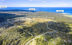 1010 Lighthouse Road, Cape Otway VIC