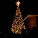Lighting the CHRISTMAS Tree