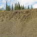 Folded slate (near Livengood, Alaska, USA) 2
