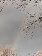 December 15, 2021 - A rare morning rainbow as a cold front blows in. (LE Worley)
