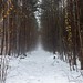 Snowy path (version 2)