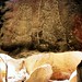 110 Ayers Rock, Fertility Cave, July 1976