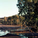 142 Todd River, Alice Springs, July 1976