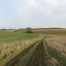 old trackway near Stancombe Farm 1