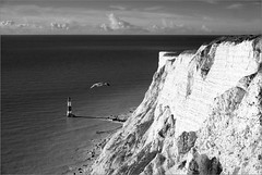 Jonathan Livingston Seagull over Beachy Head