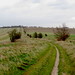 The Ridgeway on the Oxfordshire Downs 3