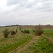 The Ridgeway on the Oxfordshire Downs 2