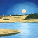 Moon Lit Night 18" x 24" $750