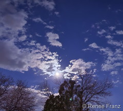 December 17, 2021 - A beautiful rising moon. (Renee Franz)
