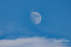 December 14, 2021 - Daytime waxing moon. (Tony's Takes)