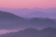 Great Smoky Mountains National Park Photo Tour • USA April 2022