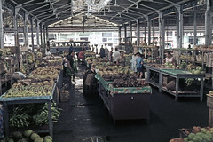 PF Tahiti Papeete market - 1965 (W65-A02-33)