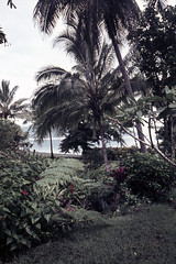 PF Tahiti scene near waterfall - 1965 (W65-A01-17)