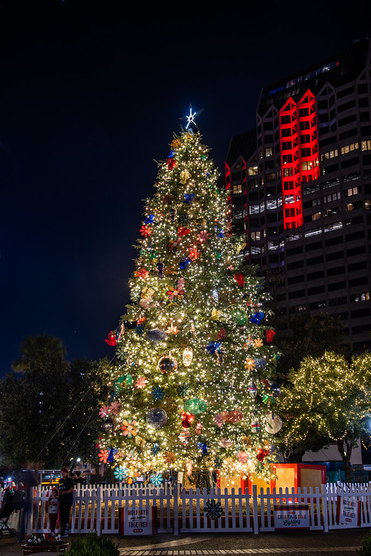 Christmas Tree in the Park<br/>© <a href="https://flickr.com/people/97708873@N00" target="_blank" rel="nofollow">97708873@N00</a> (<a href="https://flickr.com/photo.gne?id=51769868482" target="_blank" rel="nofollow">Flickr</a>)