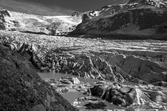 Glacier de Srinafellsjokúll