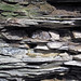 Delaware Limestone (Middle Devonian; Indian Village Canyon, Columbus, Ohio, USA) 4